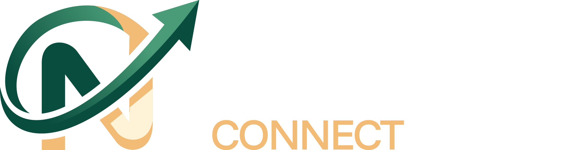 Nextel Connect